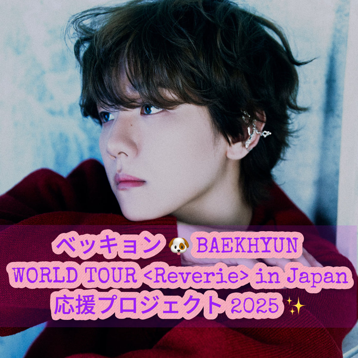 2025 ベッキョンBAEKHYUN WORLD TOURトレカ6/8ソウル公演 ベッキョン🐶BAEKHYUN WORLD TOUR in Japan 応援プロジェクト