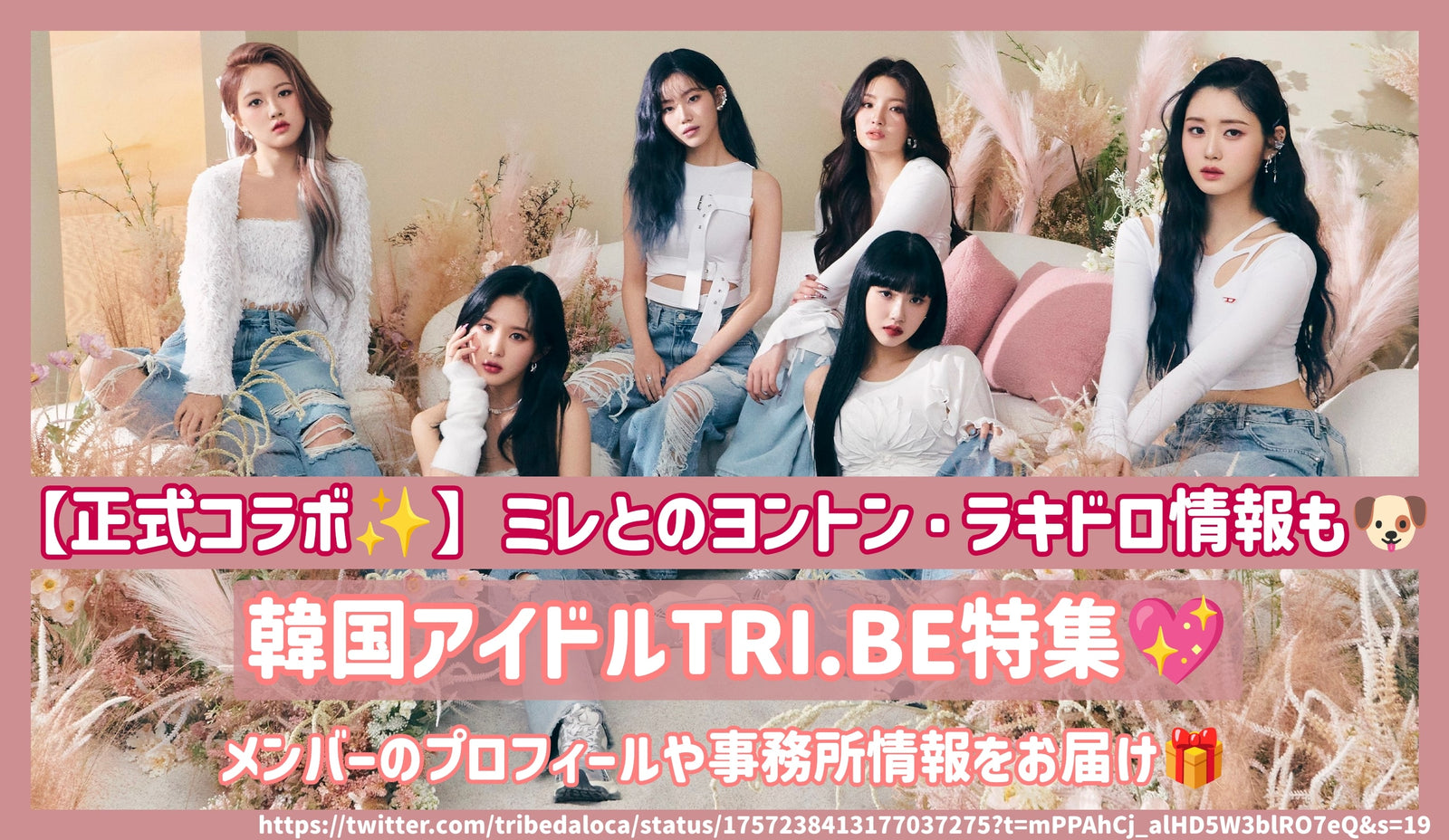 韓国ｱｲﾄﾞﾙTRI.BEのﾒﾝﾊﾞｰのﾌﾟﾛﾌｨｰﾙや事務所情報をお届け！ミレとのﾖﾝﾄﾝ・ﾗｷﾄﾞﾛｲﾍﾞﾝﾄ情報も！ – センイルJAPAN |  実績3,000件超！推し広告(ｾﾝｲﾙ/応援広告)専門代理店