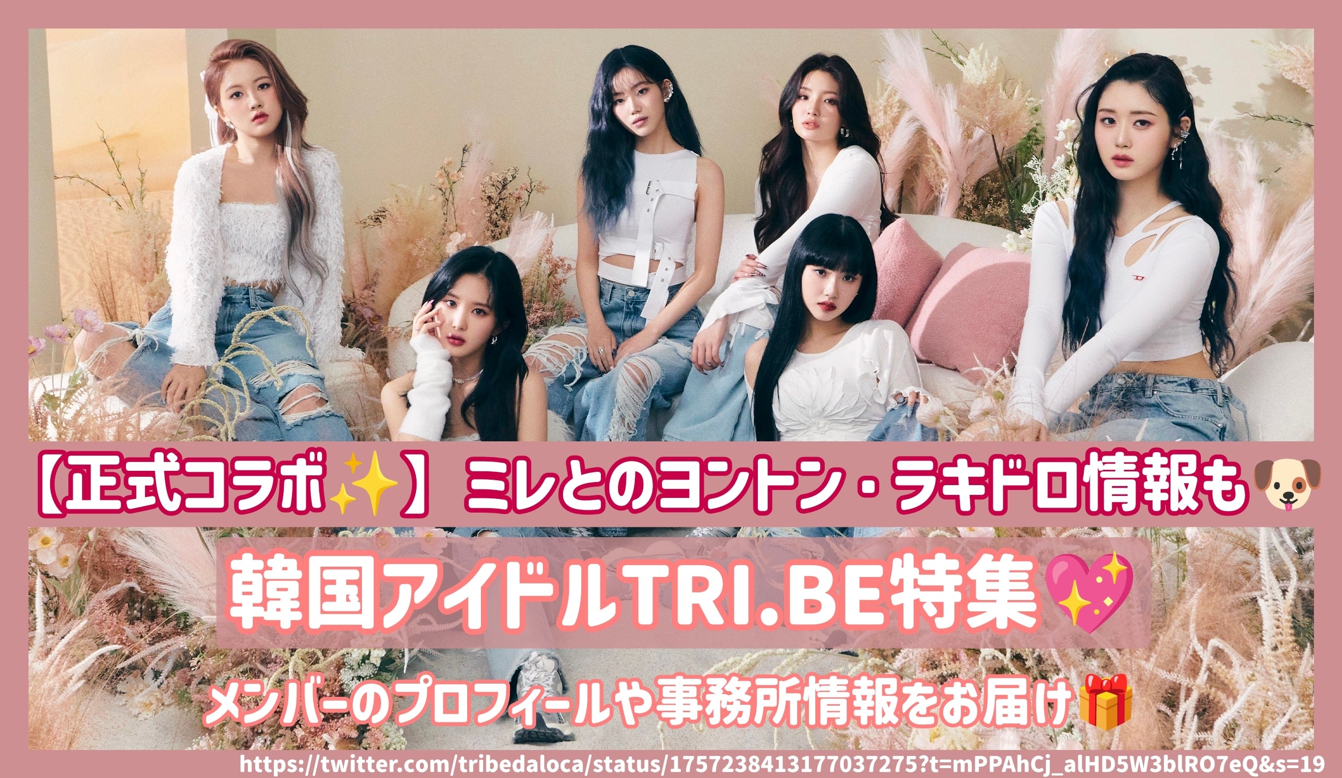 韓国ｱｲﾄﾞﾙTRI.BEのﾒﾝﾊﾞｰのﾌﾟﾛﾌｨｰﾙや事務所情報をお届け！ミレとのﾖﾝﾄﾝ・ﾗｷﾄﾞﾛｲﾍﾞﾝﾄ情報も！ – センイルJAPAN |  実績2