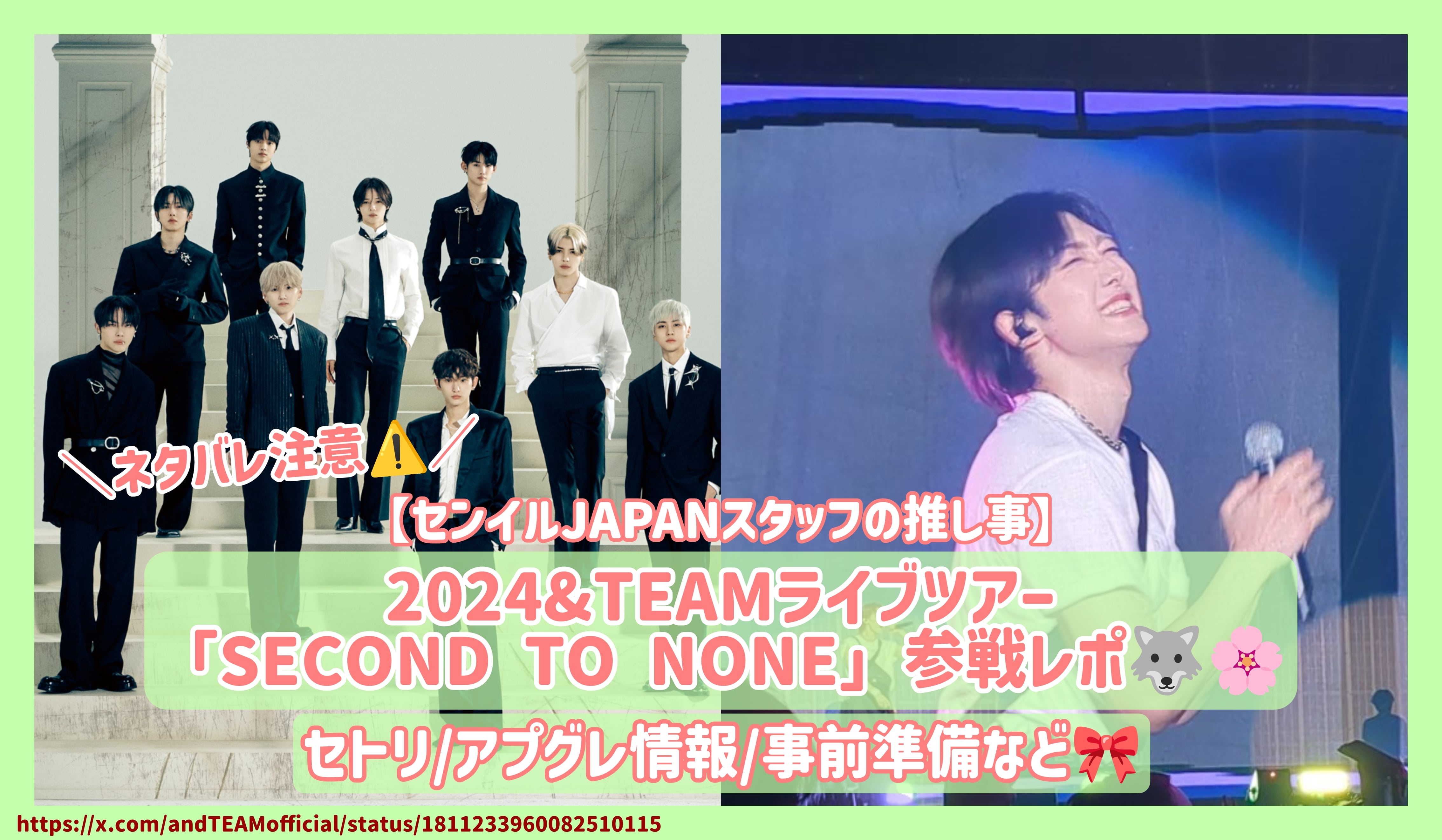 &TEAM NICHOLAS ニコラス うちわ ピケット セット &TEAM NICHOLAS ニコラス うちわ ピケット セット（andteam