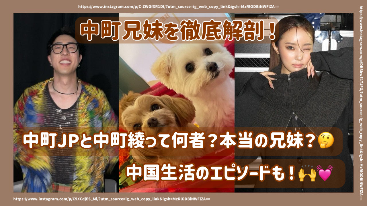 中町兄妹 持運び