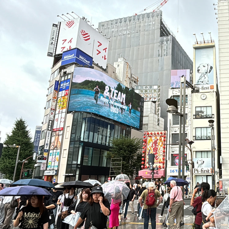[&TEAM] Cross Shinjuku Vision Favorite Advertising Case Study (2024/09)