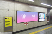 [Tokyo Metro Meiji Jingumae <Harajuku> Station] B0/B1 poster