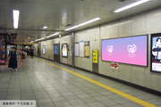 [Tokyo Metro Meiji Jingumae <Harajuku> Station] B0/B1 poster