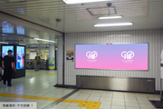 [Tokyo Metro Meiji Jingumae <Harajuku> Station] B0/B1 poster