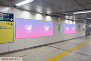 [Tokyo Metro Meiji Jingumae <Harajuku> สถานี] B0/B1 Poster