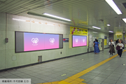 [Tokyo Metro Meiji Jingumae <Harajuku> สถานี] B0/B1 Poster